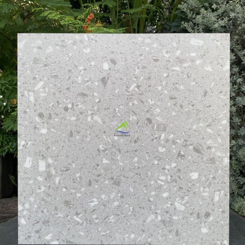 GẠCH TERRAZZO DNTH6100