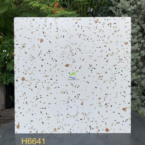 GẠCH TERRAZZO DNTH6641