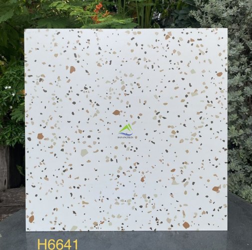 GẠCH TERRAZZO DNTH6641