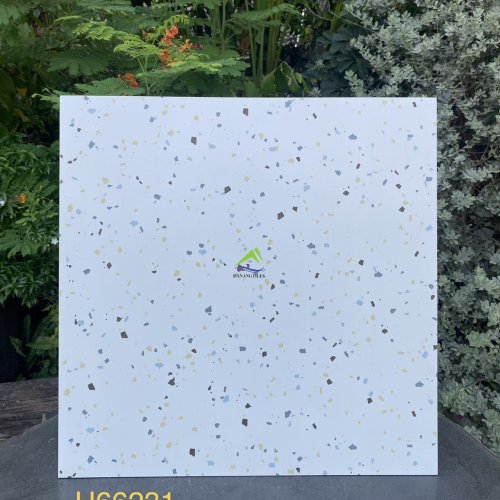 GẠCH TERRAZZO DNTH66231