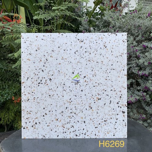 GẠCH TERRAZZO DNTH6269