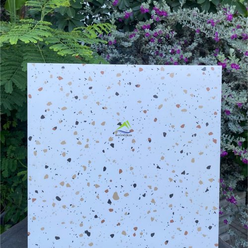 GẠCH TERRAZZO DNTK6926