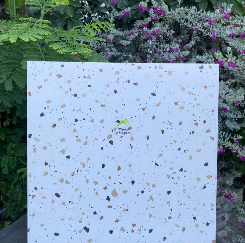 GẠCH TERRAZZO DNTK6926