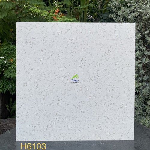 GẠCH TERRAZZO DNTH6103