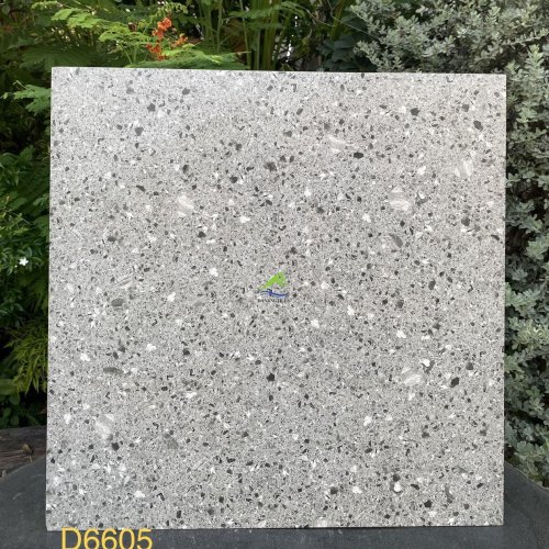 GẠCH TERRAZZO DNTD6605