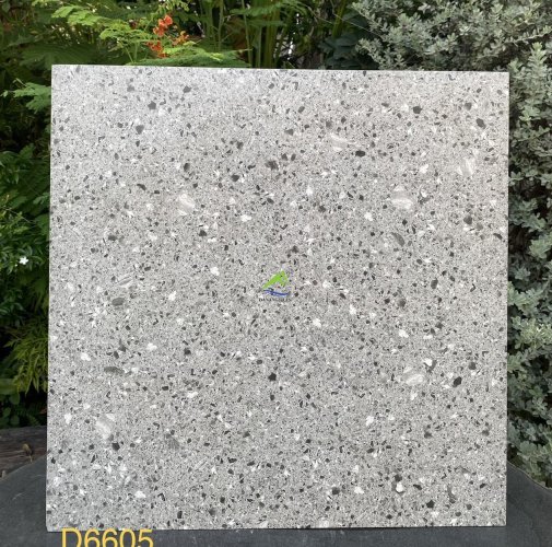 GẠCH TERRAZZO DNTD6605