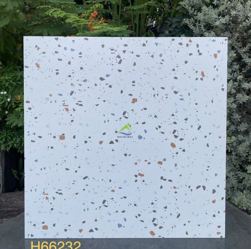 GẠCH TERRAZZO H66232