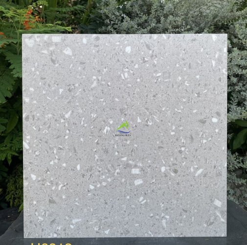 GẠCH TERRAZZO DNTU6813