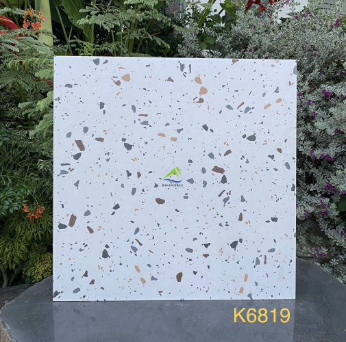 GẠCH TERRAZZO DNTK6819