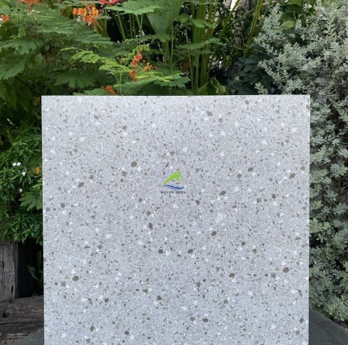 GẠCH TERRAZZO DNTH66556