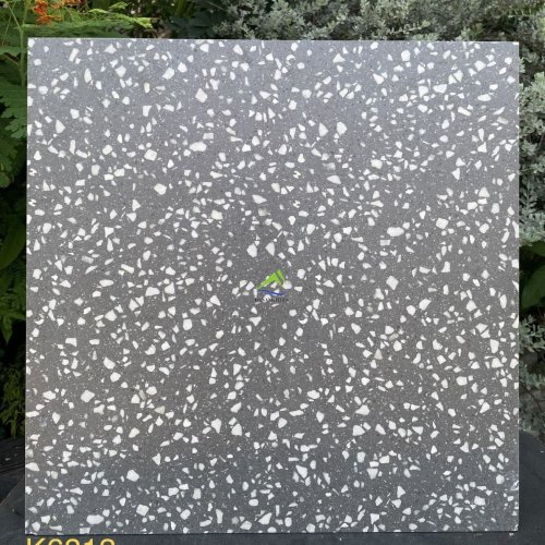 GẠCH TERRAZZO DNTK6813