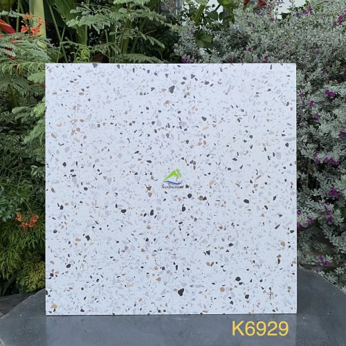 GẠCH TERRAZZO DNTK6929