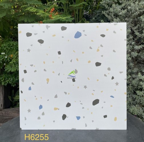 GẠCH TERRAZZO DNTH6255