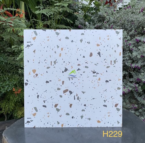 GẠCH TERRAZZO DNTH229