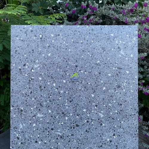 GẠCH TERRAZZO DNTKD6606