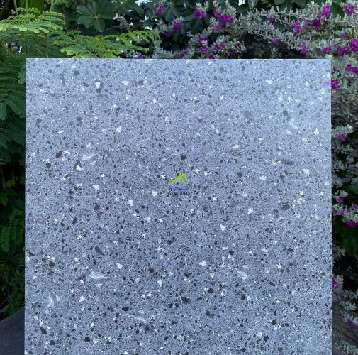 GẠCH TERRAZZO DNTKD6606