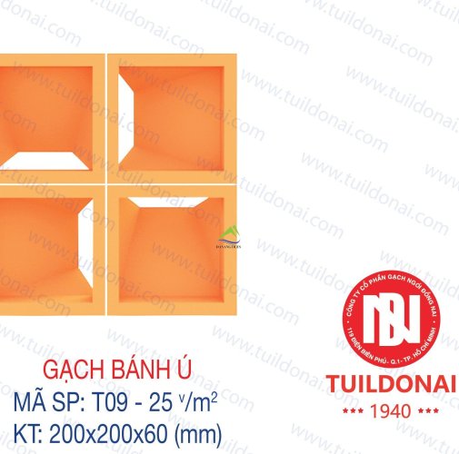 GẠCH THÔNG GIÓ BÁNH Ú T09