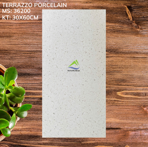 GẠCH TERRAZZO 36200