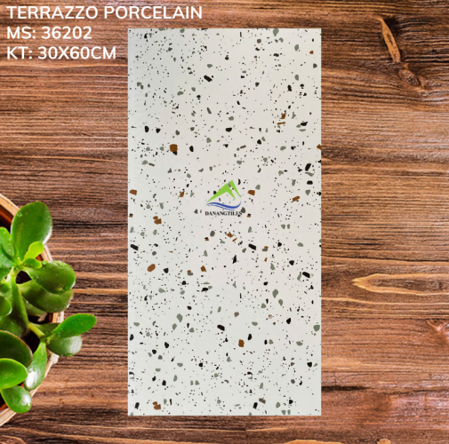 GẠCH TERRAZZO 36202