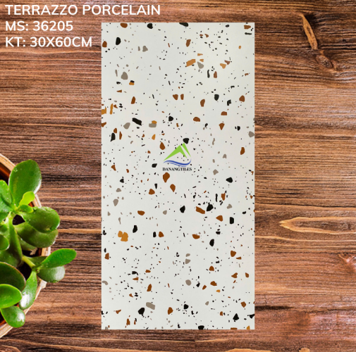 GẠCH TERRAZZO 36205