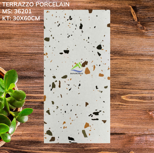 GẠCH TERRAZZO 36201