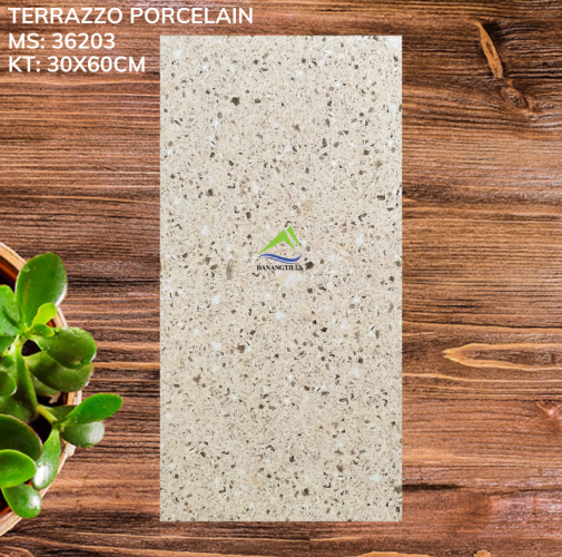 GẠCH TERRAZZO 36203