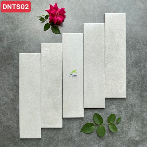 GẠCH THẺ XƯƠNG GRANITE DNTS02