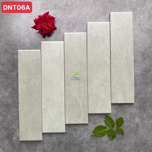 GẠCH THẺ XƯƠNG GRANITE DNT06A