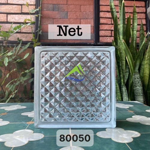 GẠCH KÍNH NET DNT80050