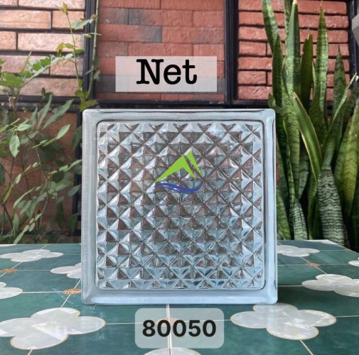 GẠCH KÍNH NET DNT80050