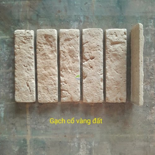 GẠCH CỔ VÀNG ĐẤT