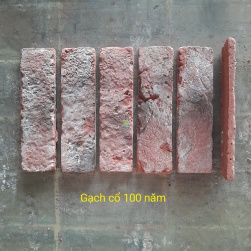 GẠCH CỔ 100 NĂM