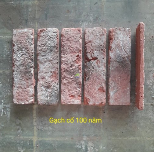 GẠCH CỔ 100 NĂM