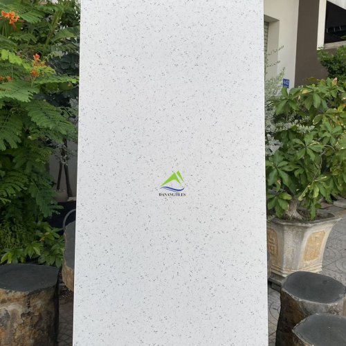 GẠCH TERRAZZO U12040