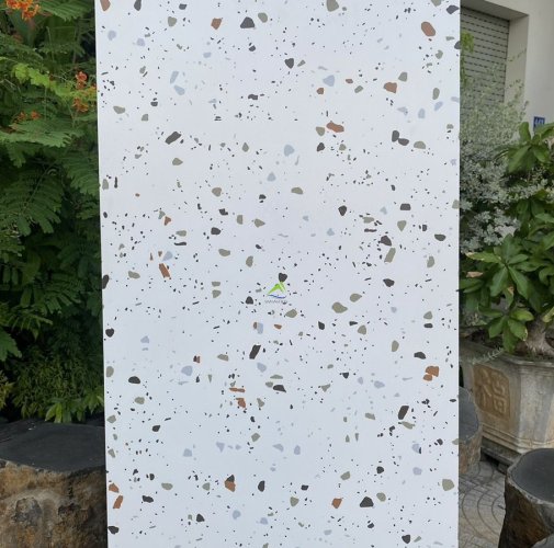 GẠCH TERRAZZO U1205