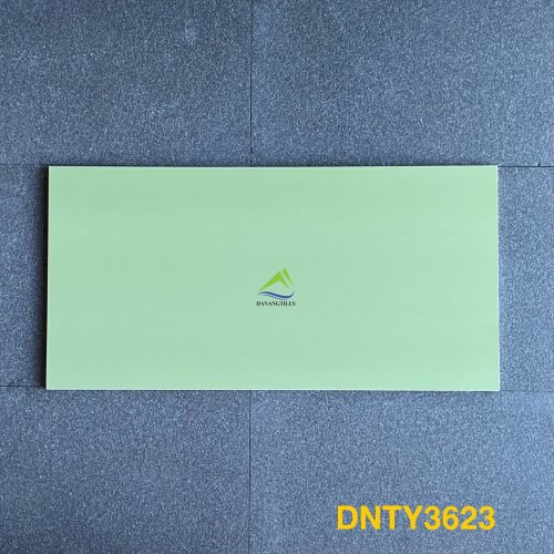 GẠCH ỐP LÁT DNTY3623