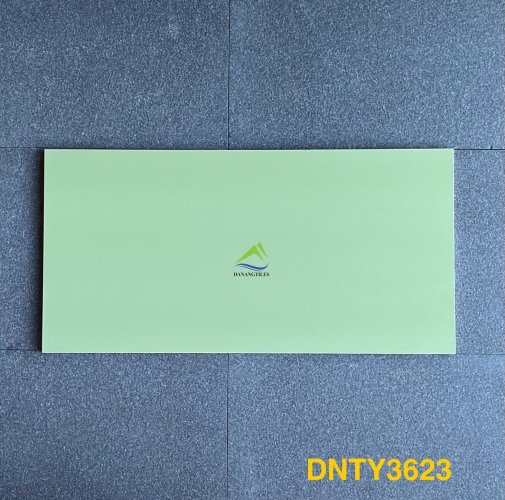 GẠCH ỐP LÁT DNTY3623