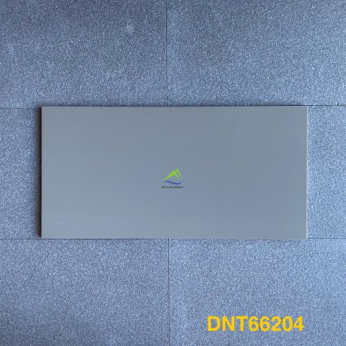 GẠCH ỐP LÁT DNT66204