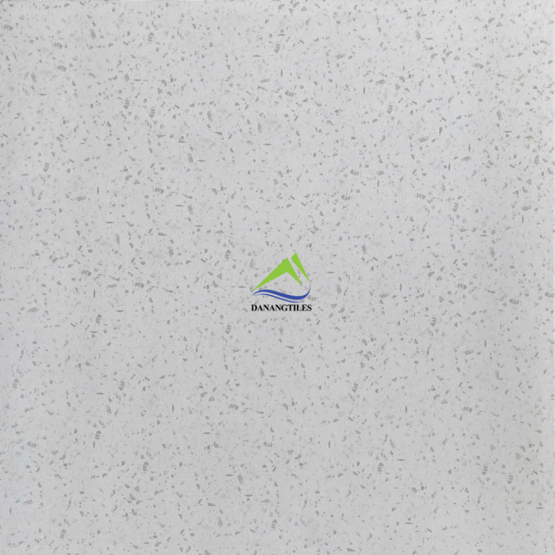 TERRAZZO 6002 – 60x60CM