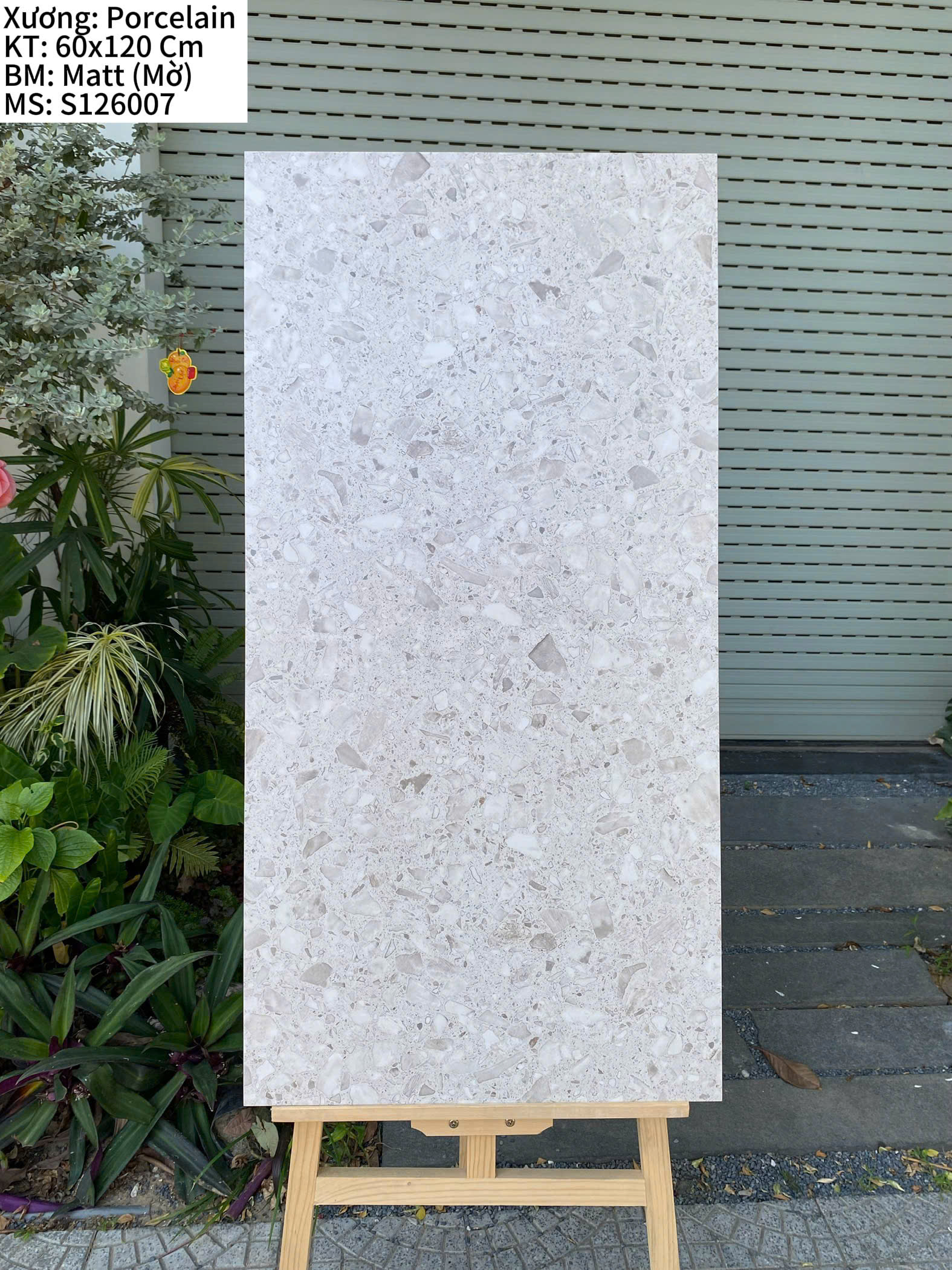 TERRAZZO S126007