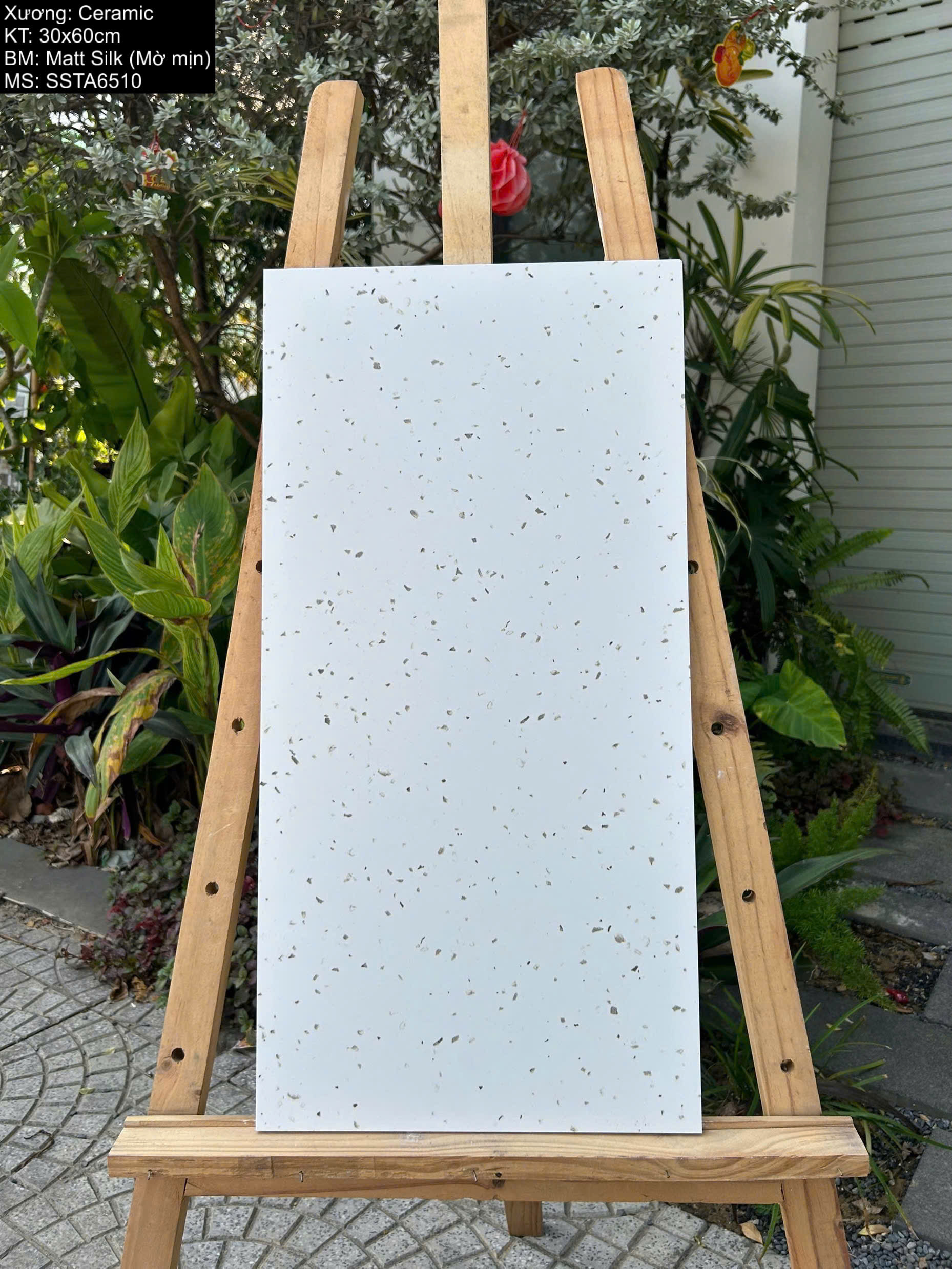 GẠCH TERRAZZO SSTA6510