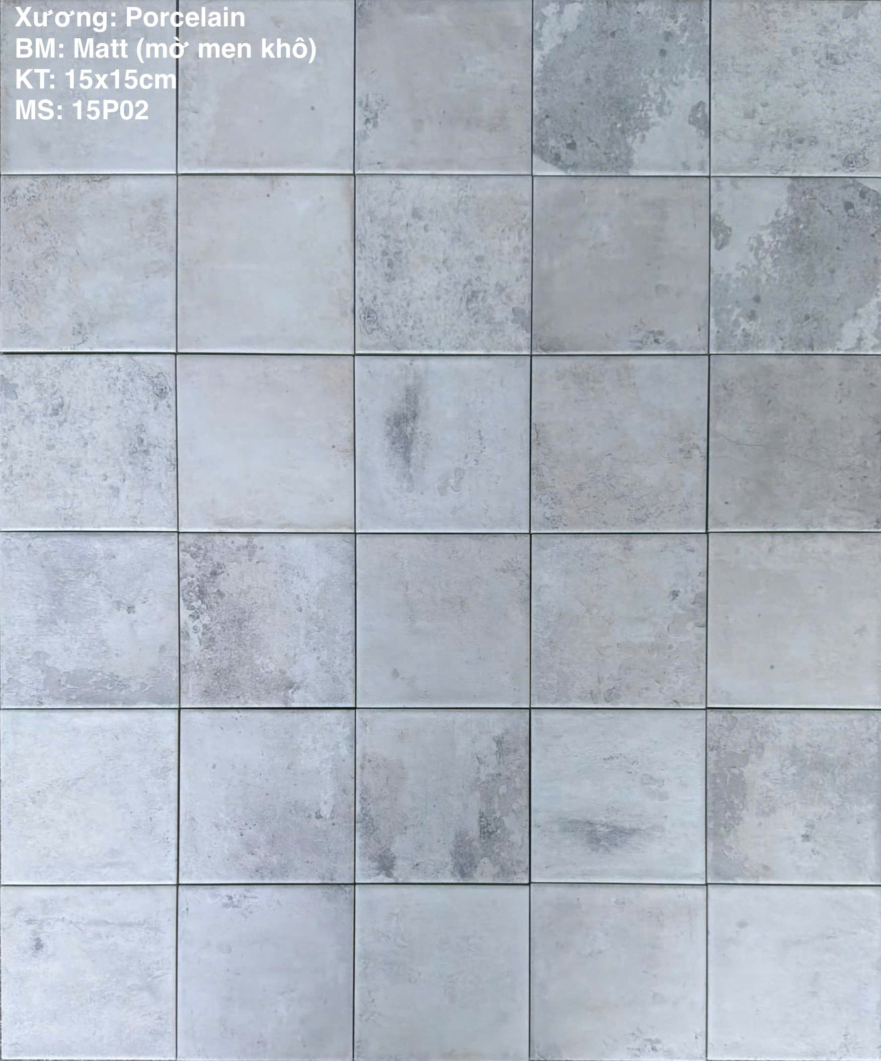 GẠCH THẺ PATINA 15P02